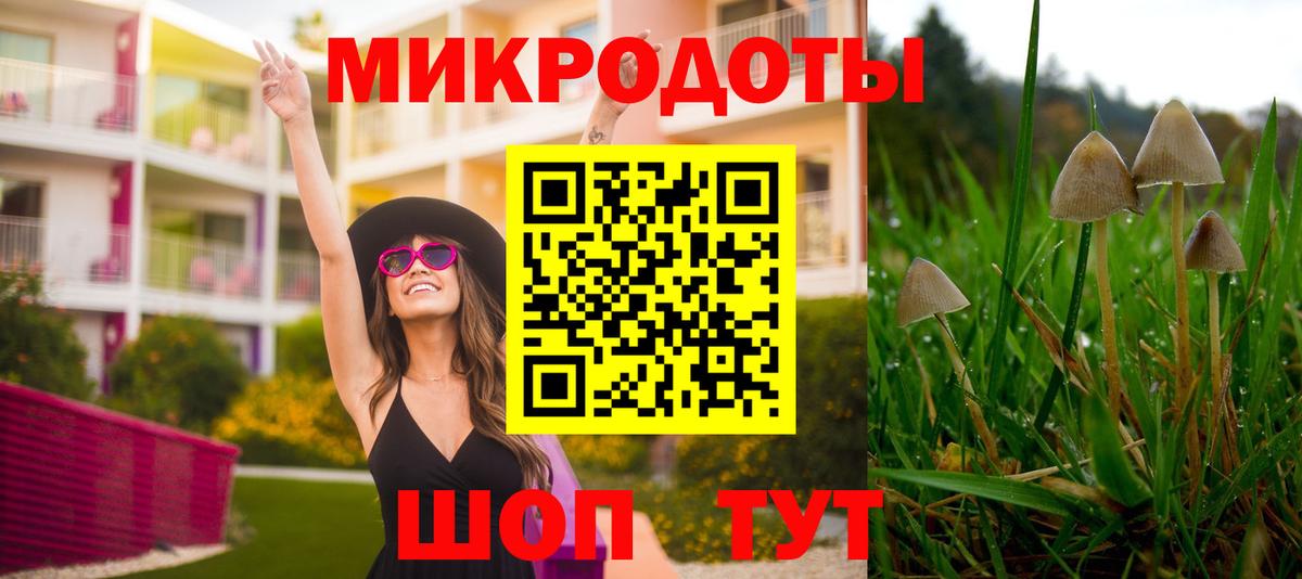 закладки  Галлюциногенные грибы Cubensis  Вход с VPN  Черногорск 