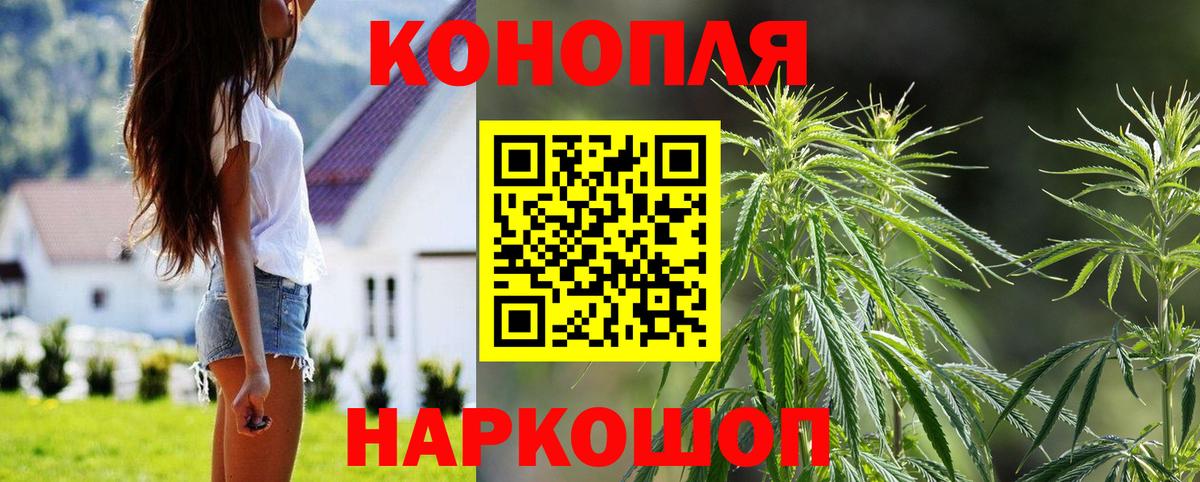 Каннабис марихуана  Марихуана Amnesia  Черногорск  МАРИХУАНА семена  Вход с VPN 